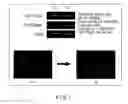 Fig. 02 - REDIFFERENTIATION MEDIUM FOR MAKING DEDIFFERENTIATED CHONDROCYTE TO BE REDIFFERENTIATED INTO CHONDROCYTE