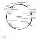 Fig. 04 - Flp-mediated recombination