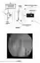 Fig. 04 - Method of characterizing a dispersion using transformation techniques