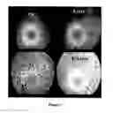 Fig. 05 - Method of characterizing a dispersion using transformation techniques