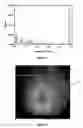 Fig. 07 - Method of characterizing a dispersion using transformation techniques