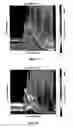 Fig. 14 - Method of characterizing a dispersion using transformation techniques