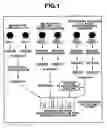 Fig. 02 - Mass spectrometric quantitation method for biomolecules based on metabolically labeled internal standards