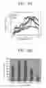Fig. 09 - Microfluidic device and method for concentration and lysis of cells or viruses