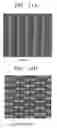 Fig. 12 - Microfluidic device and method for concentration and lysis of cells or viruses