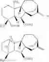 Fig. 10 - Identification of compounds for inhibiting complexation of C-reactive protein with fibronectin