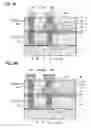 Fig. 05 - Method for Manufacturing Ferroelectric Memory