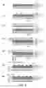 Fig. 03 - Method of manufacturing vertical nitride light emitting device