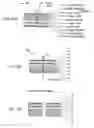 Fig. 14 - Semiconductor element and method of making same