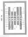 Fig. 40 - Semiconductor integrated circuit device and its manufacturing method