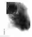 Fig. 11 - Patterning of Substrates with Metal-Containing Particles