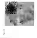 Fig. 20 - Patterning of Substrates with Metal-Containing Particles