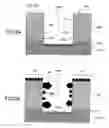 Fig. 04 - Substrate processing method and fabrication process of a semiconductor device