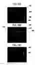 Fig. 09 - Plasma etching method
