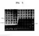 Fig. 04 - Method of etching for multi-layered structure of semiconductors in group III-V and method for manufacturing vertical cavity surface emitting laser device