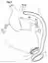 Fig. 03 - Implant connector
