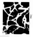 Fig. 03 - Fibrillar, nanotextured coating and method for its manufacture