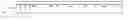 Fig. 01 - Microchannel plate and method of manufacturing microchannel plate