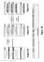 Fig. 27 - Microchannel plate and method of manufacturing microchannel plate