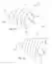 Fig. 06 - Snowman decorative accessory