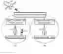 Fig. 01 - Method and system for synchronizing in a communication system