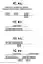 Fig. 06 - Channel assigning method and system for radio base station group