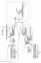 Fig. 02 - Cellular phone and mobile switching controller