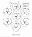 Fig. 02 - Point to multipoint device for communication with a plurality of telecommunications units