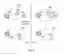 Fig. 06 - Point to multipoint device for communication with a plurality of telecommunications units