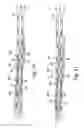 Fig. 06 - Bicycle sprocket apparatus with a shift inhibiting structure