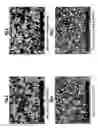 Fig. 04 - Aluminum nitride ceramic and semiconductor manufacturing member