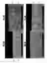 Fig. 13 - Aluminum nitride ceramic and semiconductor manufacturing member