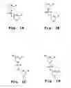 Fig. 02 - Antisense antibacterial method and compound