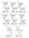 Fig. 03 - Antisense antibacterial method and compound
