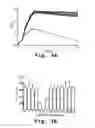 Fig. 04 - Antisense antibacterial method and compound