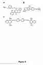 Fig. 07 - Peptides and methods using same for diagnosing and treating amyloid-associated diseases