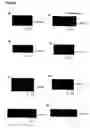 Fig. 04 - Follistatin isoforms and uses thereof