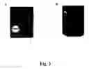 Fig. 04 - Bacteriocin inducer peptides