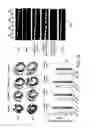 Fig. 09 - IGF-1 novel peptides