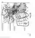 Fig. 141 - IGF-1 novel peptides