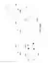 Fig. 35 - IGF-1 novel peptides