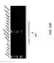 Fig. 43 - IGF-1 novel peptides
