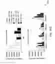 Fig. 46 - IGF-1 novel peptides