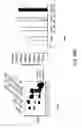 Fig. 65 - IGF-1 novel peptides