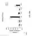 Fig. 84 - IGF-1 novel peptides