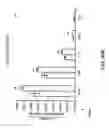Fig. 91 - IGF-1 novel peptides