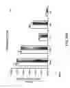 Fig. 92 - IGF-1 novel peptides