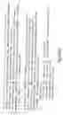 Fig. 31 - Novel growth factor and a genetic sequence encoding same