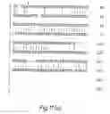 Fig. 45 - Novel growth factor and a genetic sequence encoding same