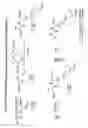 Fig. 06 - Amino acid conjugates providing for sustained systemic concentrations of GABA analogues